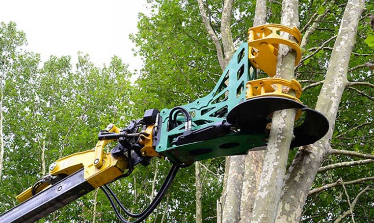 secateur abattage forestier seve