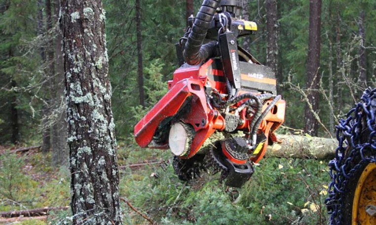 tete abattage forestier waratah