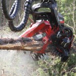 tete abattage forestier waratah