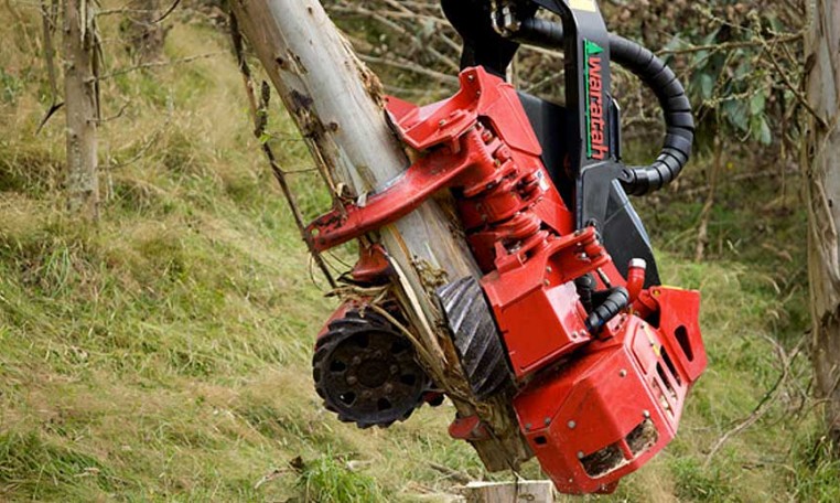 tete abattage forestier waratah