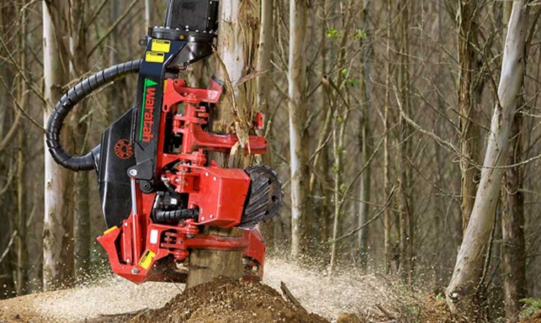 tete abattage forestier waratah