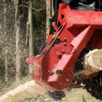 tete abattage forestier waratah
