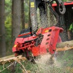 tete abattage forestier waratah