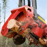 tete abattage forestier waratah