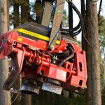 tete abattage forestier waratah